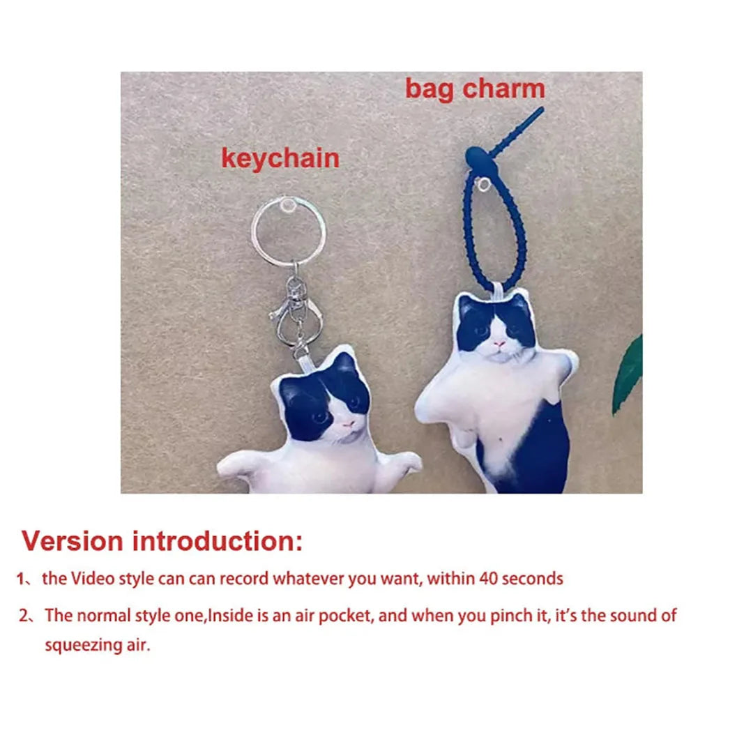 Don Quixote plush keychains